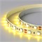 Лента RT 2-5000 12V Yellow 2x (5060, 300 LED, LUX) (Arlight, 14.4 Вт/м, IP20) 012342 - фото 100651
