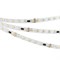 Лента SPI-BA120-12mm 24V RGBW-Day-PX6-BPT (16 W/m, IP20, 5060/2835, 5m) (Arlight, бегущий огонь) 040621 - фото 100683