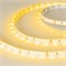Лента RT-A60-8mm 12V Yellow (4.8 W/m, IP20, 2835, 5m) (Arlight, Открытый) 010521(2) - фото 100873