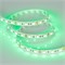 Лента RT 2-5000 12V Green 2x (5060, 300 LED, LUX) (Arlight, 14.4 Вт/м, IP20) 012337-1 - фото 100897