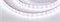 Лента RTW 2-5000PS 12V Cool 8K 2x (5060, 300 LED, LUX) (Arlight, 14.4 Вт/м, IP67) 021401 - фото 101054