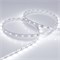 Лента RT 2-5000 24V White6000 (3528, 300 LED, LUX) (Arlight, 4.8 Вт/м, IP20) 011504(B) - фото 101087
