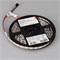 Лента SPI-B60-10mm 12V White6000-PX1-RAM (9.3 W/m, IP20, 5060, 5m) (Arlight, бегущий огонь) 037829 - фото 101099