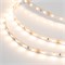 Лента RT 2-5000 12V Warm2700 (2835, 300 LED, PRO) (Arlight, 7.2 Вт/м, IP20) 015702(B) - фото 101133