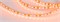 Лента RT-A120-8mm 12V Orange (9.6 W/m, IP20, 2835, 5m) (Arlight, -) 015902(2) - фото 101309