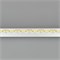 Лента герметиная RTW-SE-A280-8mm 24V Warm2700 (10 W/m, IP65, 5m) (Arlight, 5 лет) 045560 - фото 101438
