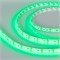 Лента RTW 2-5000SE 12V Green 2x (3528, 600 LED, LUX) (Arlight, 9.6 Вт/м, IP65) 014792(1) - фото 101559
