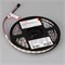 Лента SPI-B60-10mm 12V Day4000-PX1-RAM (9.3 W/m, IP20, 5060, 5m) (Arlight, бегущий огонь) 037828 - фото 101720