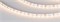 Лента MICROLED-M120-4mm 24V Warm3000 (9.6 W/m, IP20, 2216, 5m) (Arlight, узкая) 024414(2) - фото 101992