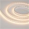Лента RT 2-5000 24V Cx2 Warm3000 10mm (2835, 168 LED/m, LUX) (Arlight, 17 Вт/м, IP20) 028738 - фото 102129