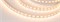 Лента RT 2-5000 12V Cx1 Warm2400 2x (5060, 360 LED, LUX) (Arlight, 15.6 Вт/м, IP20) 018096 - фото 102183