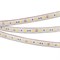 Лента герметичная RTW-PS-B60-12mm 12V Warm3000 (14.4 W/m, IP67, 5060, 5m) (Arlight, 14.4 Вт/м, IP67) 022325(2) - фото 102322