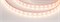 Лента герметичная RTW-PS-B60-12mm 12V Warm3000 (14.4 W/m, IP67, 5060, 5m) (Arlight, 14.4 Вт/м, IP67) 022325(2) - фото 102325