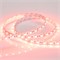Лента RT 2-5000 12V Red 2x (5060, 300 LED, LUX) (Arlight, 14.4 Вт/м, IP20) 012343(1) - фото 102409
