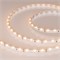 Лента RS 2-5000 12V Warm2700 (3014, 60 LED/m, LUX) (Arlight, 4.8 Вт/м, IP20) 024448 - фото 102421