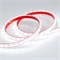 Лента RTW 2-5000PS-50m 24V White6000 (2835, 80 LED/m, LUX) (Arlight, 6 Вт/м, IP67) 024527 - фото 102562