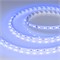 Лента RT-B60-10mm 24V Blue (14.4 W/m, IP20, 5060, 5m) 008819(2) - фото 102630