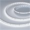 Лента RT-A160-8mm 24V White6000 (12 W/m, IP20, 2835, 5m) (Arlight, высок.эфф.150 лм/Вт) 024534(2) - фото 102698