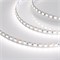 Светодиодная лента RT-B96-10mm 24V Day4000 (23 W/m, IP20, 5060, 5m) (Arlight, Открытый) 017424(2) - фото 102719