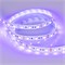 Лента RT-B60-10mm 12V UV400 (14.4 W/m, IP20, 5060, 5m) (Arlight, Открытый) 012815(2) - фото 103089