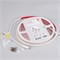 Лента герметичная RTW-PSW-A308-12mm 24V Warm2700 (14 W/m, IP67, 2835, 5m) (Arlight, 5 лет) 045296 - фото 103641