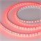 Лента RT-B72-10mm 12V RGB (15 W/m, IP20, 5060, 5m) (Arlight, 15 Вт/м, IP20) 016246(2) - фото 103832