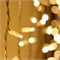 Светодиодная гирлянда ARD-CURTAIN-PRO-2000x3000-WHITE-760LED-STD WARM (230V, 70W) (Ardecoled, IP65) 026067 - фото 103945