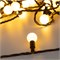 Светодиодная гирлянда ARD-BALL-CLASSIC-D23-10000-BLACK-80LED WARM (230V, 3.5W) (Ardecoled, IP65) 025617 - фото 104113