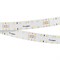 Лента RT-A140-20mm 24V Warm3000 (22 W/m, IP20, 2835, 4.7m) (Arlight, 22 Вт, IP20) 028005(2) - фото 104467