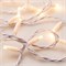 Светодиодная гирлянда ARD-STRING-PRO-10000-WHITE-100LED-STD WARM (230V, 7W) (Ardecoled, IP65) 025839 - фото 104917
