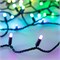 Светодиодная гирлянда ARD-STRING-CLASSIC-10000-BLACK-100LED-MILK-LIVE RGB-DMX (24V, 10W) (Ardecoled, IP65) 031746 - фото 105450