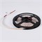 Лента MICROLED-5000 24V White6000 10mm (2110, 700 LED/m, LUX) (Arlight, 20 Вт/м, IP20) 027024 - фото 105480