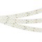 Лента RT-A252-19mm 24V White6000 (27 W/m, IP20, 2835, 5m) (Arlight, 27 Вт/м, IP20) 019925(2) - фото 105639