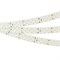Лента RT-A252-19mm 24V White6000 (27 W/m, IP20, 2835, 5m) (Arlight, 27 Вт/м, IP20) 019925(2) - фото 105641