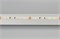 Лента MICROLED-M240-4.5mm 24V White-CDW (9.6 W/m, IP20, 2216, 5m) (Arlight, узкая) 024506(2) - фото 106123