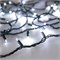 Светодиодная гирлянда ARD-STRING-PRO-1000-GREEN-100LED-PULSE White (230V, 7W) (Ardecoled, IP65) 031663 - фото 107121