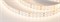 Лента RT 2-5000 24V Warm2700 2x2 (2835, 980 LED, LUX) (Arlight, 20 Вт/м, IP20) 019091(B) - фото 107242