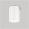 Светильник LGD-FORMA-SURFACE-R90-12W Day4000 (WH, 44 deg, 230V) (Arlight, IP54 Металл, 3 года) 037259 - фото 107406