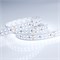 Лента RT 2-5000 24V Cool 8K 2x2 (3528, 1200 LED, LUX) (Arlight, 19.2 Вт/м, IP20) 013746(B) - фото 107537