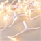 Светодиодная гирлянда ARD-STRING-CLASSIC-10000-WHITE-100LED-MILK-FLASH Warm (230V, 7W) (Ardecoled, IP65) 031205 - фото 107808