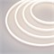 Образец Гибкий неон GALAXY-1206-5000CFS-2835-100 12V Day 0.5M (12x6mm, 12W, IP67) (Arlight, 12 Вт/м, IP67) 030968 - фото 108109