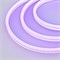 Образец Гибкий неон GALAXY-1608-5000CFS-2835-100 12V Purple 0.5M (16x8mm, 12W, IP67) (Arlight, 12 Вт/м, IP67) 030976 - фото 108422