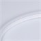 Гибкий неон ARL-NEON-1608-SIDE 24V White (Arlight, 6 Вт/м, IP65) 030874 - фото 108437