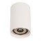 Корпус PLURIO-BASE-SURFACE-LONG-R77 (WH, 1-2, 200mA) (Arlight, IP20 Металл, 3 года) 030262 - фото 108883