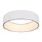 Светильник SP-TOR-RING-HANG-R460-33W Warm3000 (WH, 120 deg) (Arlight, IP20 Металл, 3 года) 022146(1) - фото 109005