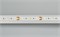 Лента MICROLED-5000 24V White-CDW 8mm (2216, 240 LED/m, Bipolar) (Arlight, 9.6 Вт/м, IP20) 024507 - фото 109730