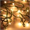 Светодиодная гирлянда ARD-STRING-HOME-5000-GREEN-50LED-FLASH WARM (230V, 3.5W) (Ardecoled, IP20) 025765 - фото 109797