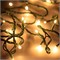 Светодиодная гирлянда ARD-STRING-HOME-5000-GREEN-50LED-FLASH WARM (230V, 3.5W) (Ardecoled, IP20) 025765 - фото 109799