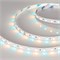 Лента RT-B60-10mm 24V RGBW-Warm (14.4 W/m, IP20, 5060, 5m) (Arlight, Открытый) 018327(2) - фото 109985