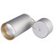 Светильник подвесной SP-POLO-R85-2-15W Warm White 40deg (Silver, Gold Ring) (Arlight, Металл) 022973 - фото 110832